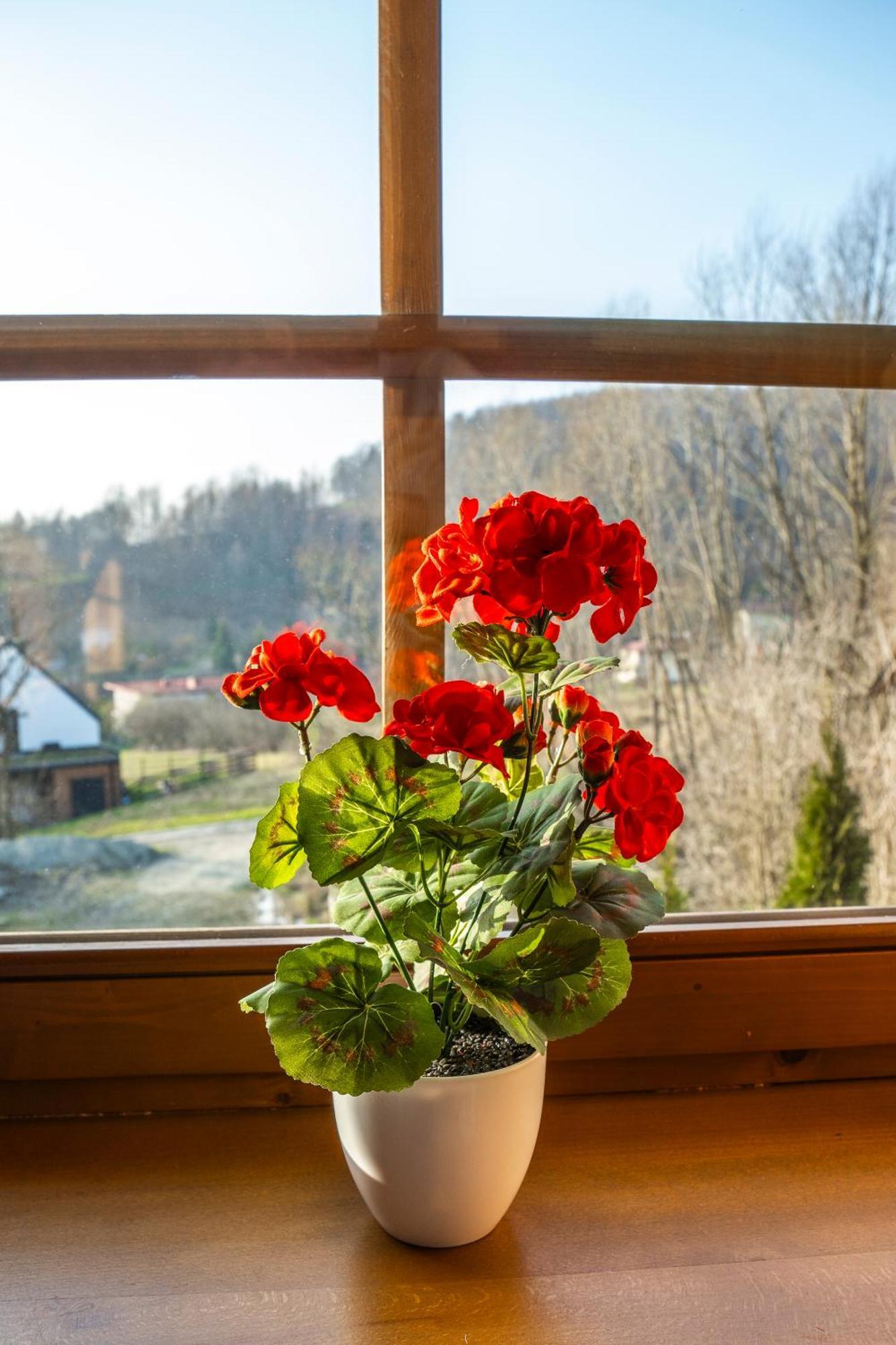 Chalet Jaworowa Osada